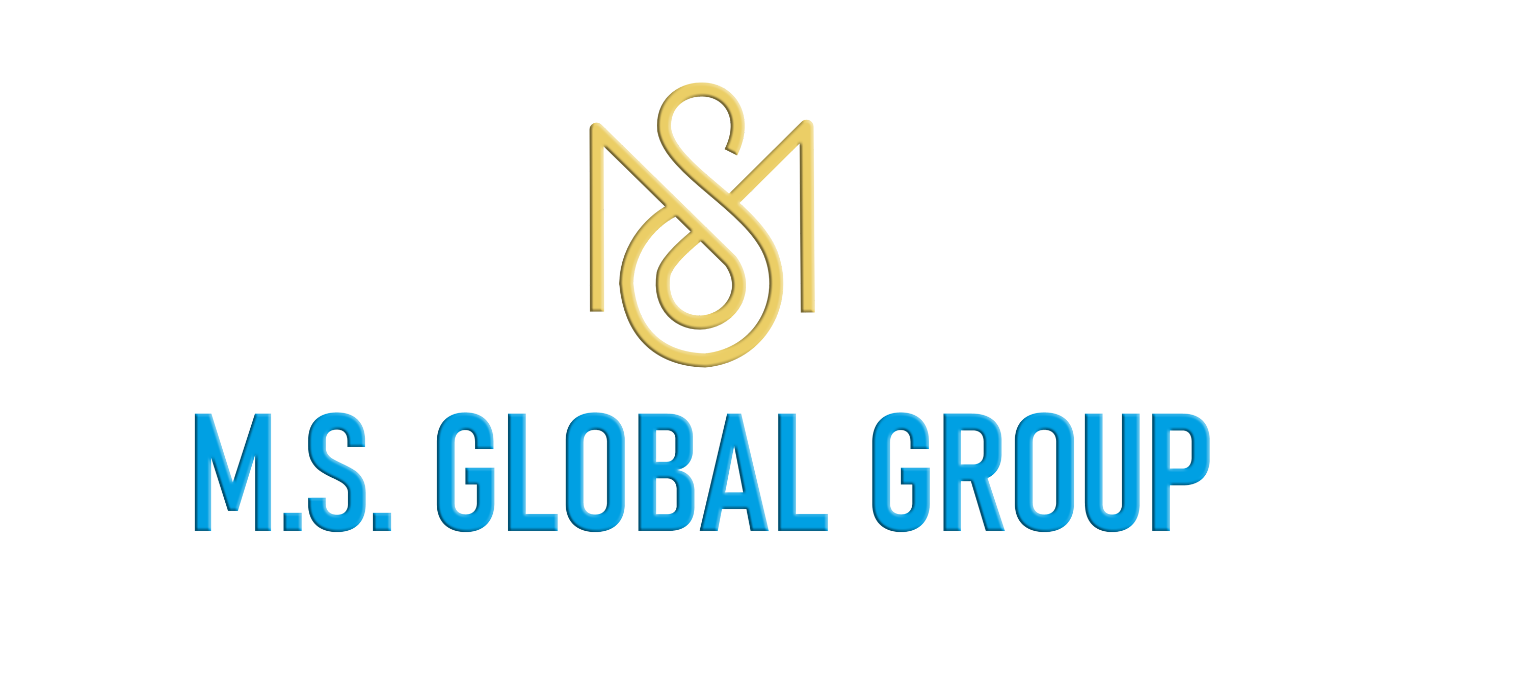M.S Global Group